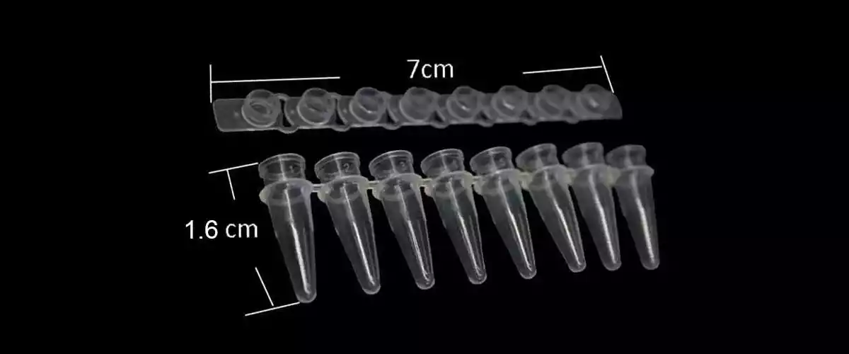 0.1 ml PCR Strips