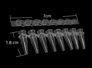 0.1 ml PCR Strips