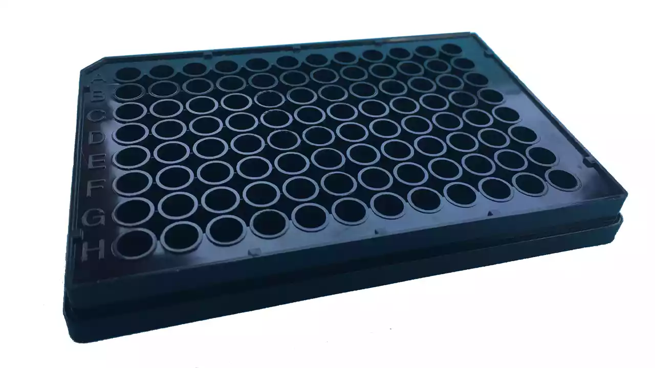 Black Tissue Culture Plates