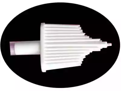 Cervical Brush