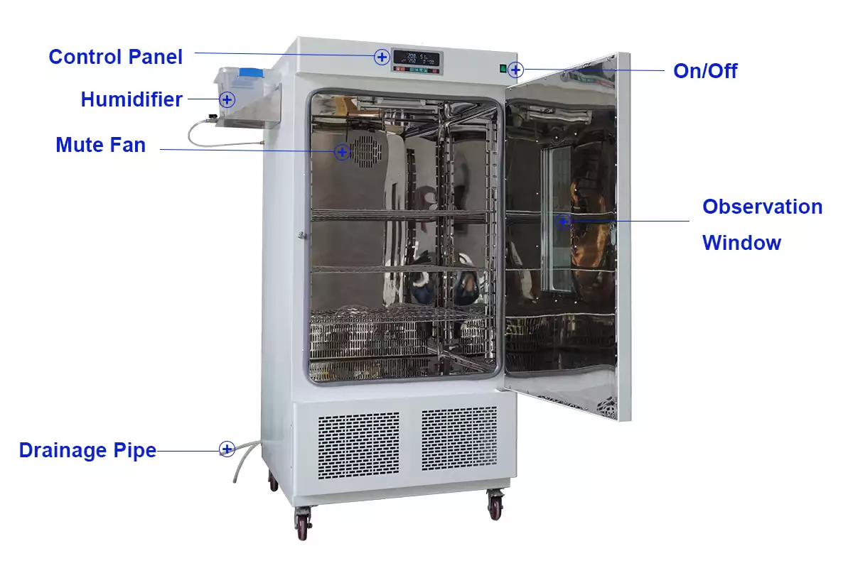 Constant Temperature and Humidity Incubator