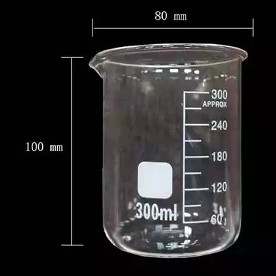 300 ml Glass Beaker