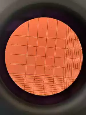 Hemocytometer real imaging effect