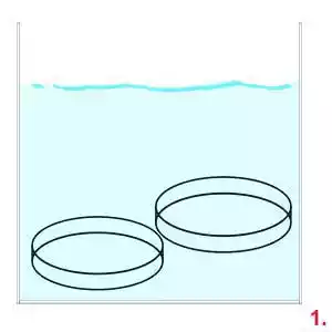 How To Clean Glass Petri Dishes Thoroughly?