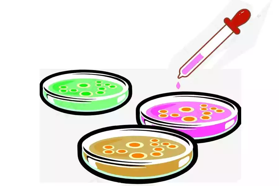 How Much Culture Medium Should Be Added to The Petri Dishes?