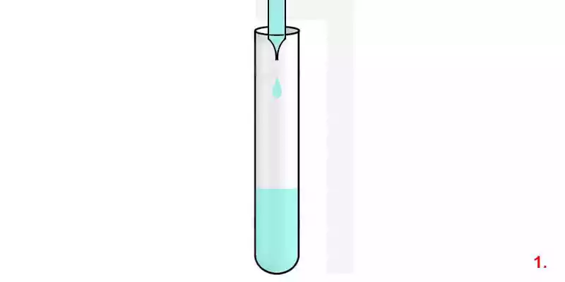 How to Use Durham Glass Test Tubes for Fermentation Test