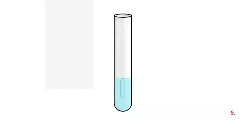 How to Use Durham Glass Test Tubes for Fermentation Test