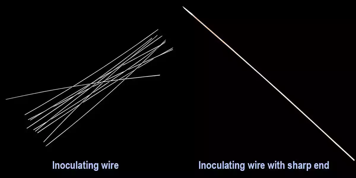 Inoculating Wire