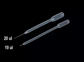 Pasteur Capillary Pipettes