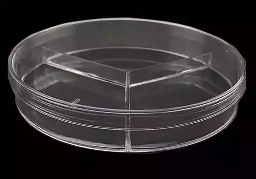 Petri Dish with 1/3 chamber