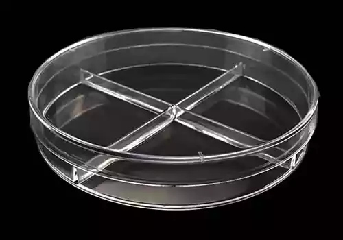 Petri Dish with 1/4 chamber