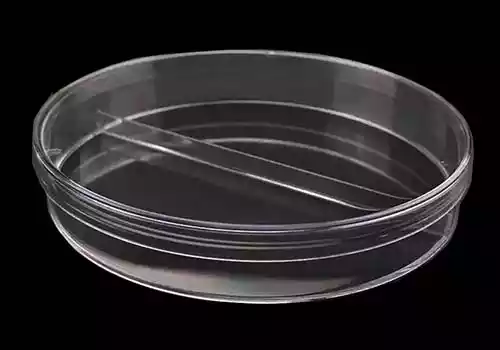 Petri Dish with 1/2 chamber