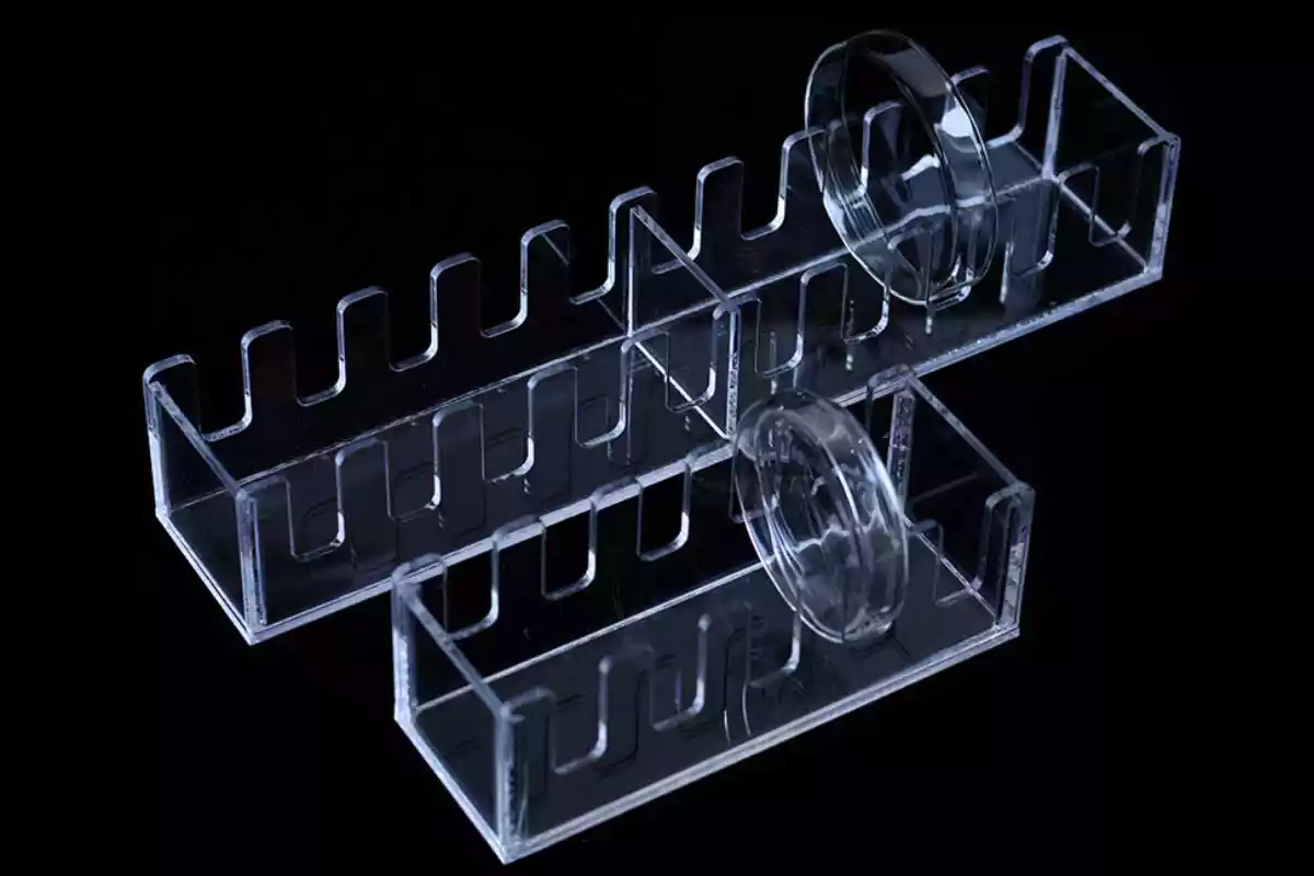 Acrylic Petri Dish Rack