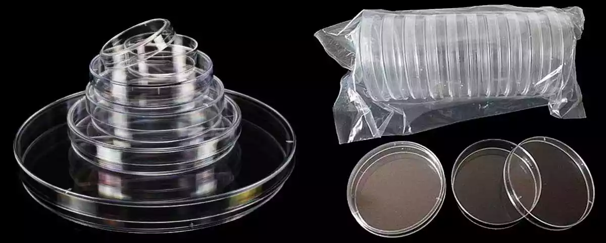 Plastic Petri Dish